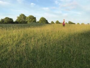 yoga and nature1