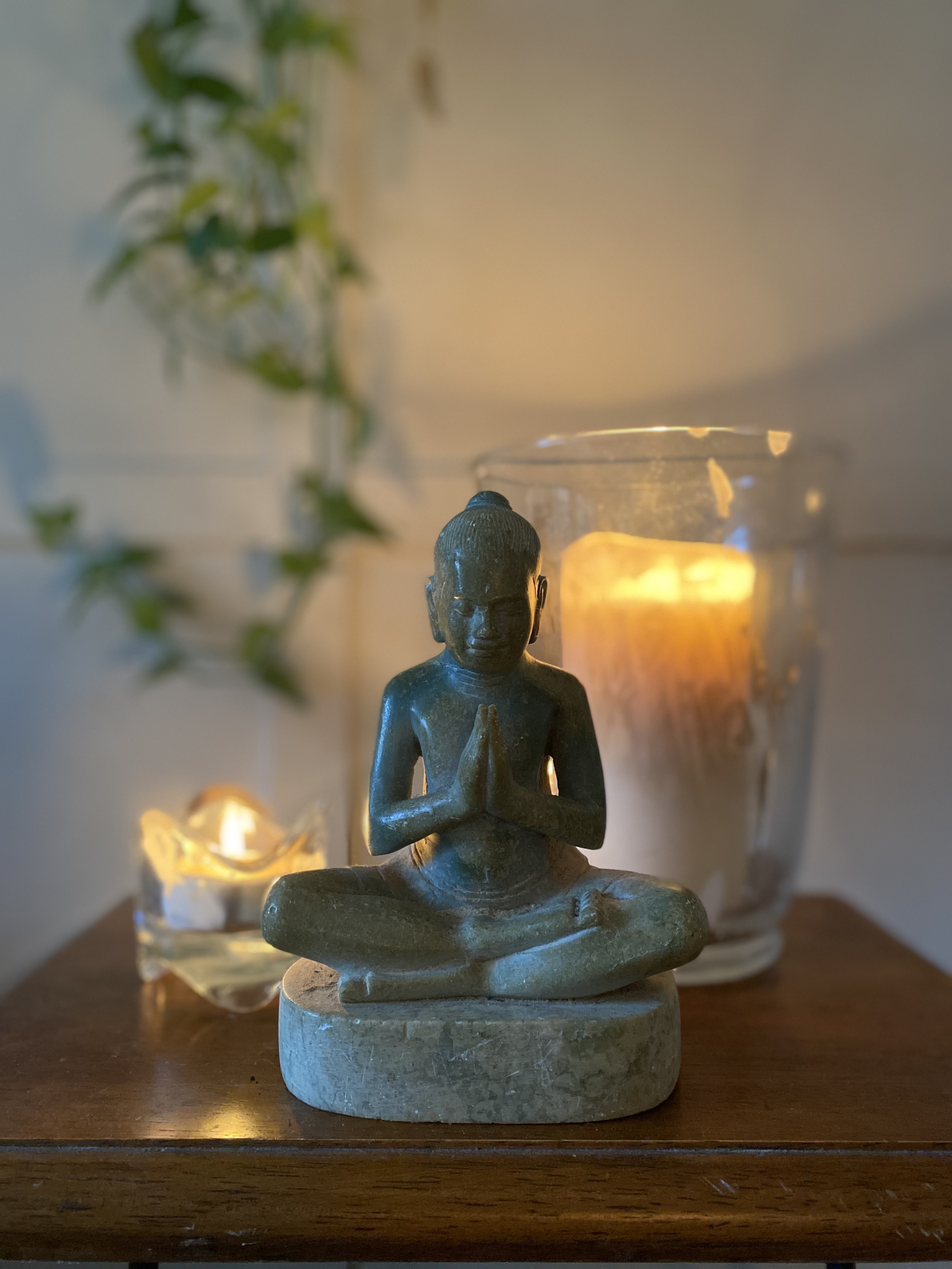 Seasons of Self: A Year of Wellbeing for Women