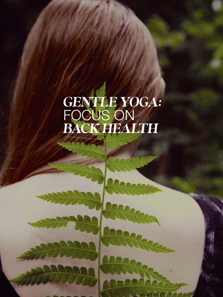 Gentle Yoga: Focus on Back Health
